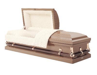 031BR 20ga Protective Steel