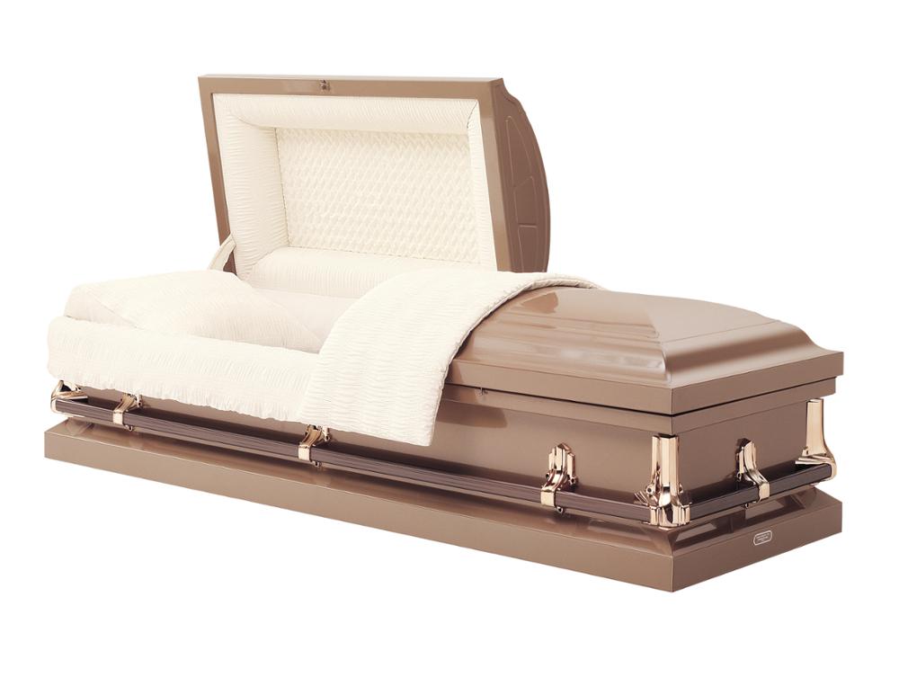 031BR 20ga Protective Steel