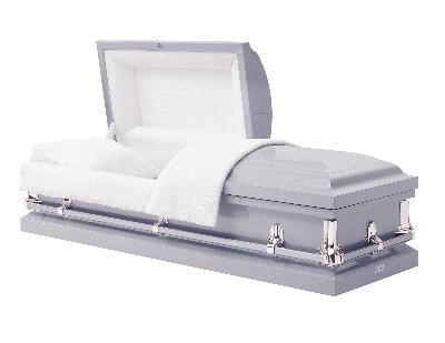 031S 20 Gauge Protective Steel