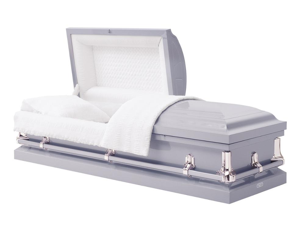 031S 20 Gauge Protective Steel